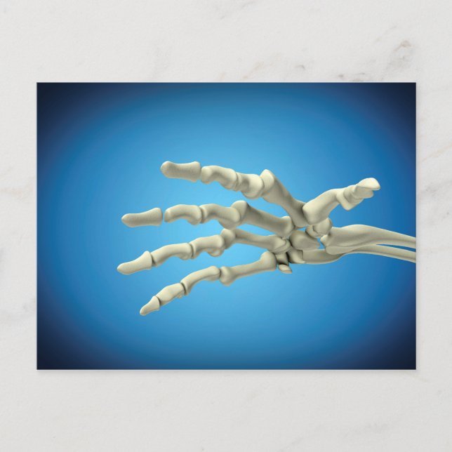 Conceptual Image Of Bones In Human Hand 1 Postcard (Front)