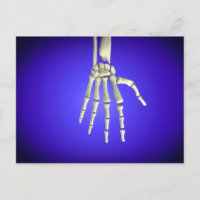 Conceptual Image Of Bones In Human Hand 2