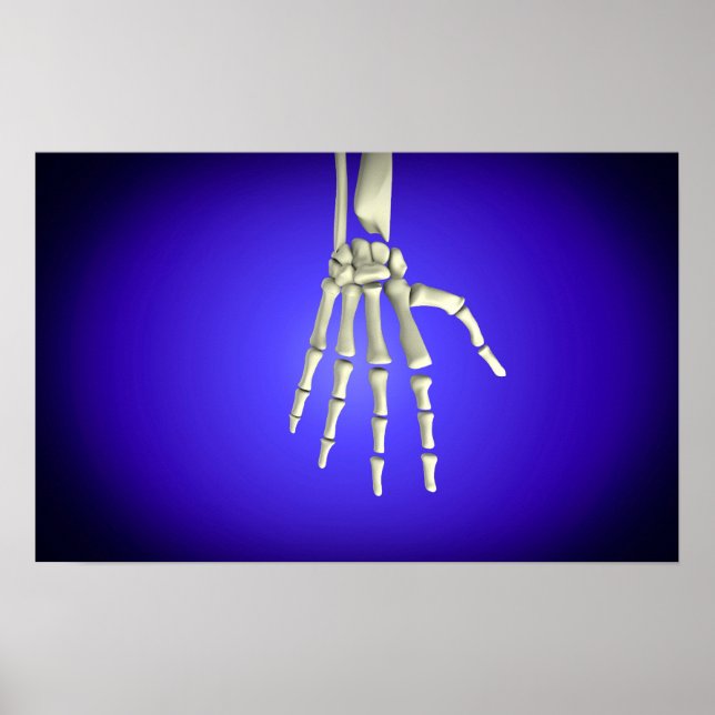 Conceptual Image Of Bones In Human Hand 2 Poster (Front)