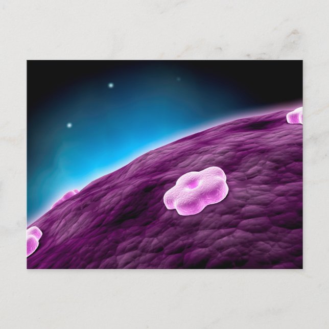 Conceptual Image Of Cell Nucleus Postcard (Front)