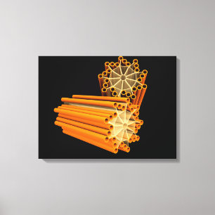 Conceptual Image Of Centrioles 1 Canvas Print