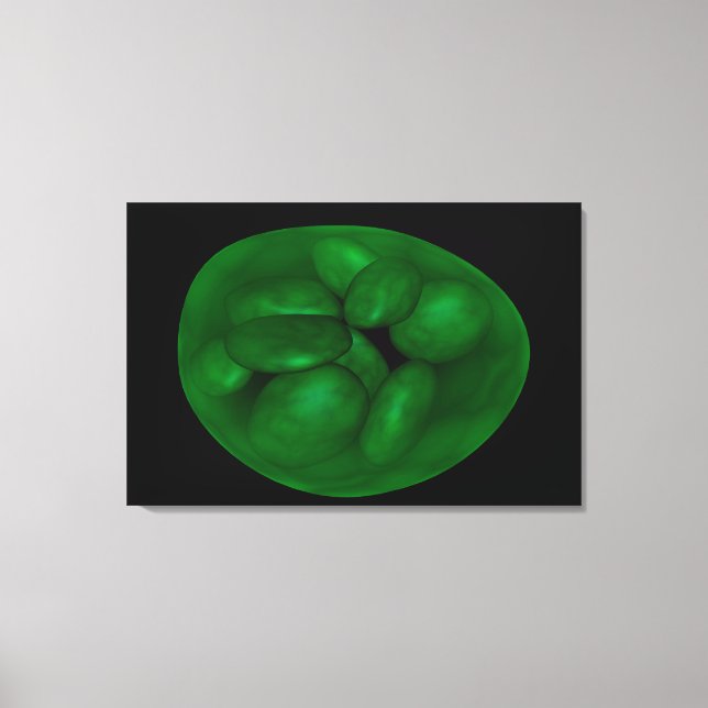 Conceptual Image Of Chloroplast 2 Canvas Print (Front)