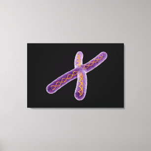 Conceptual Image Of Chromosome 2 Canvas Print