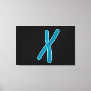 Conceptual Image Of Chromosome 3 Canvas Print