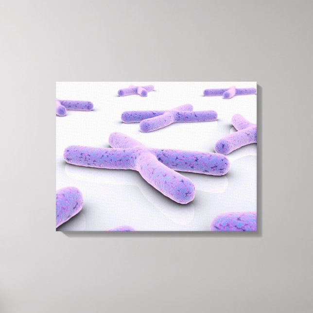 Conceptual Image Of Chromosome 4 Canvas Print (Front)