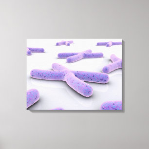 Conceptual Image Of Chromosome 4 Canvas Print