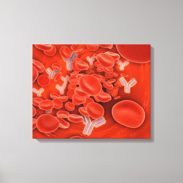 Conceptual Image Of Chromosomes Inside The Blood Canvas Print (Front)