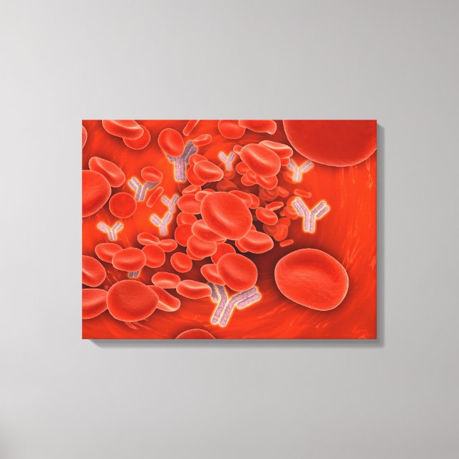 Conceptual Image Of Chromosomes Inside The Blood Canvas Print (Front)