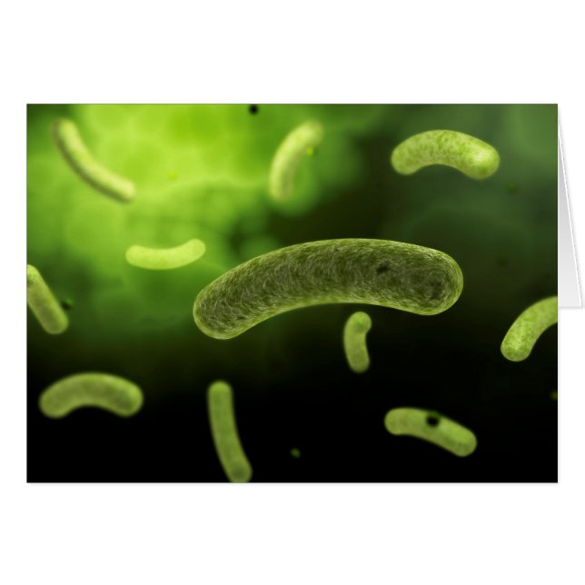 Conceptual Image Of Common Bacteria (Front Horizontal)