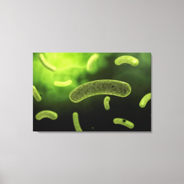 Conceptual Image Of Common Bacteria Canvas Print (Front)