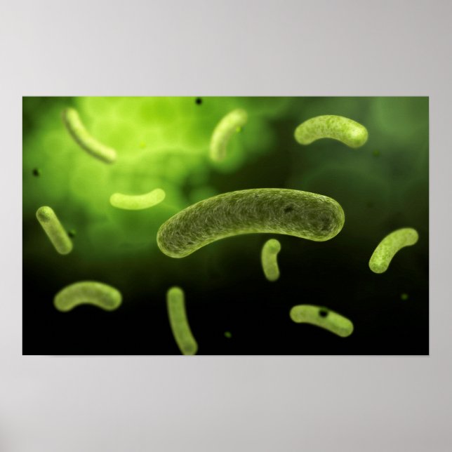 Conceptual Image Of Common Bacteria Poster (Front)