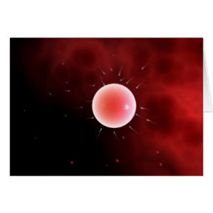 Conceptual Image Of Common Fertilization