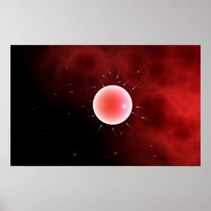 Conceptual Image Of Common Fertilization Poster