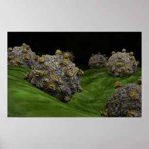 Conceptual Image Of Coxsackievirus 1 Poster