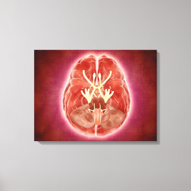 Conceptual Image Of Cranial Nerves In Brain Canvas Print (Front)