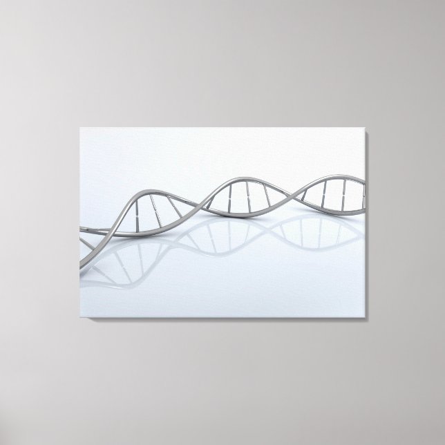 Conceptual Image Of DNA 1 Canvas Print (Front)