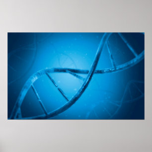 Conceptual Image Of DNA 6 Poster