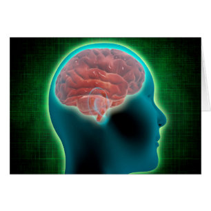 Conceptual Image Of Female Body With Brain 2