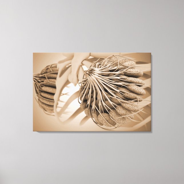 Conceptual Image Of Female Breast Anatomy 5 Canvas Print (Front)