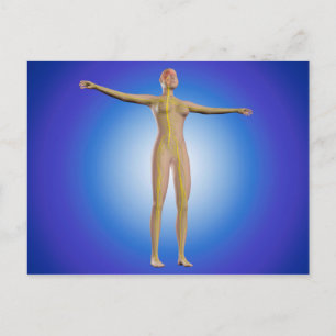 Conceptual Image Of Female Nervous System Postcard