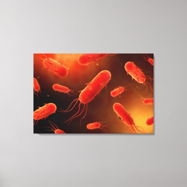 Conceptual Image Of Flagellate Bacterium 1 Canvas Print (Front)