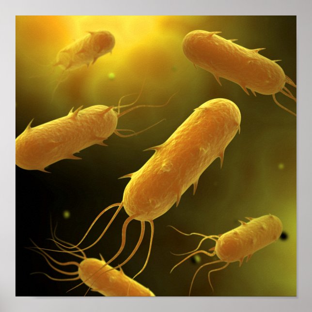 Conceptual Image Of Flagellate Bacterium 3 Poster (Front)