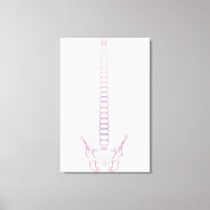 Conceptual Image Of Human Backbone 2 Canvas Print
