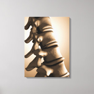 Conceptual Image Of Human Backbone 4 Canvas Print