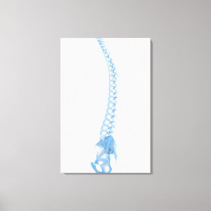 Conceptual Image Of Human Backbone 5 Canvas Print