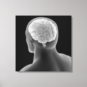 Conceptual Image Of Human Brain 2 Canvas Print