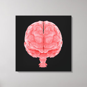 Conceptual Image Of Human Brain 3 Canvas Print