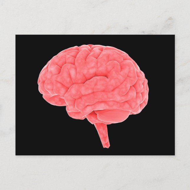 Conceptual Image Of Human Brain 4 Postcard (Front)