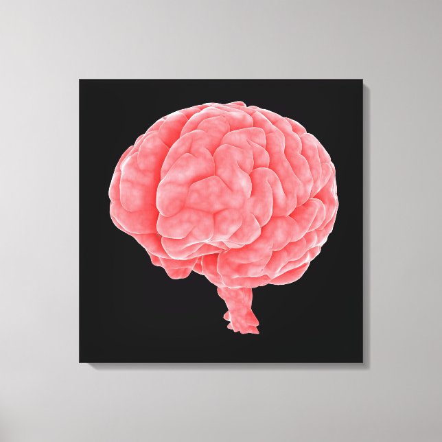 Conceptual Image Of Human Brain 5 Canvas Print (Front)