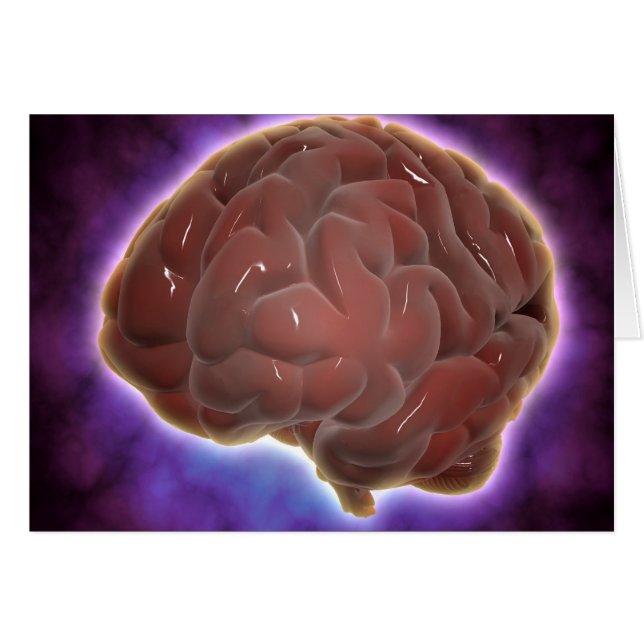 Conceptual Image Of Human Brain 6 (Front Horizontal)