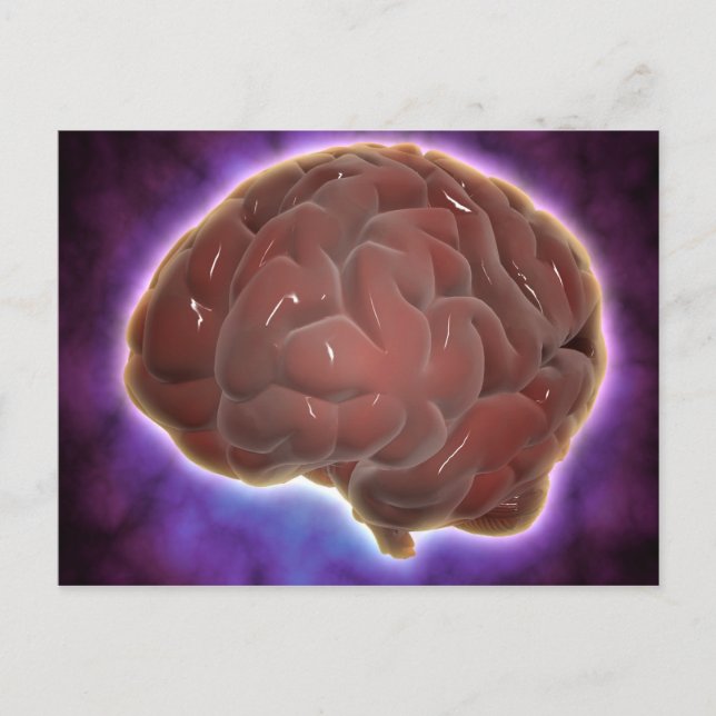 Conceptual Image Of Human Brain 6 Postcard (Front)