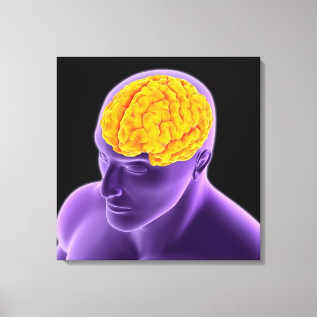 Conceptual Image Of Human Brain 8 Canvas Print (Front)