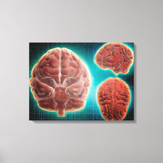 Conceptual Image Of Human Brain At Different Canvas Print (Front)
