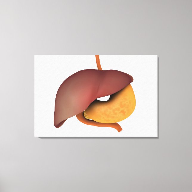 Conceptual Image Of Human Digestive System 3 Canvas Print (Front)