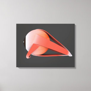 Conceptual Image Of Human Eye Anatomy 7 Canvas Print