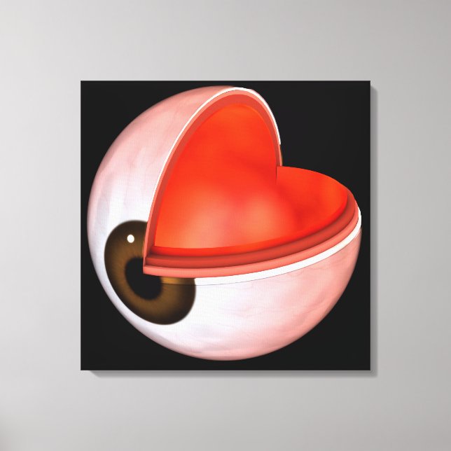 Conceptual Image Of Human Eye Anatomy 8 Canvas Print (Front)