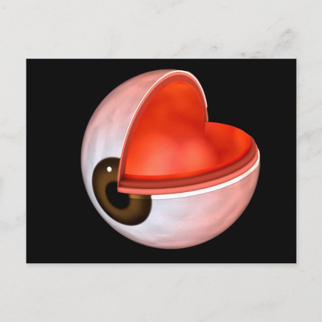 Conceptual Image Of Human Eye Anatomy 8 Postcard (Front)