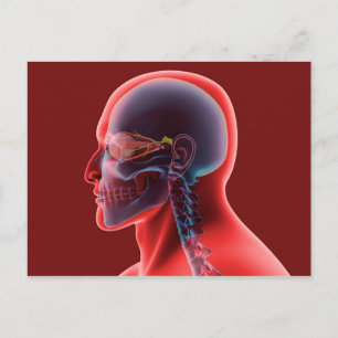 Conceptual Image Of Human Eye And Skull Postcard