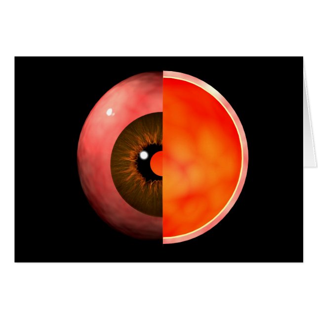 Conceptual Image Of Human Eye Cross Section 3 (Front Horizontal)