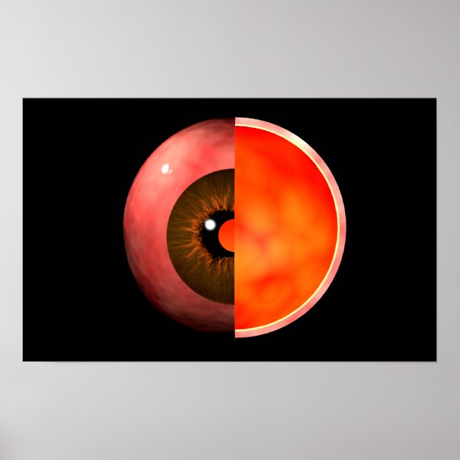 Conceptual Image Of Human Eye Cross Section 3 Poster (Front)