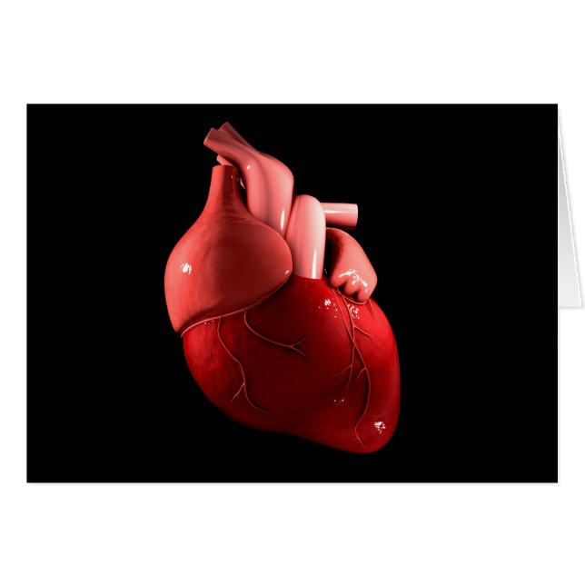 Conceptual Image Of Human Heart 2 (Front Horizontal)