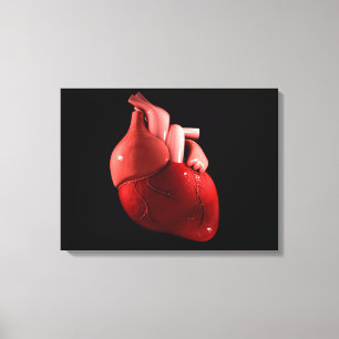 Conceptual Image Of Human Heart 2 Canvas Print
