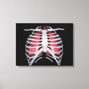 Conceptual Image Of Human Lungs And Rib Cage 1 Canvas Print