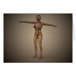 Conceptual Image Of Human Nervous System 2