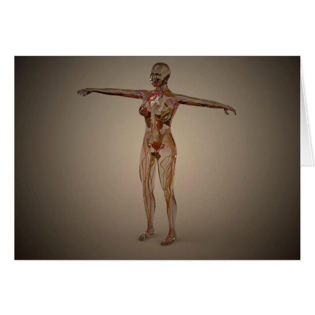 Conceptual Image Of Human Nervous System 2 (Front Horizontal)