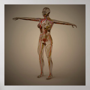 Conceptual Image Of Human Nervous System 2 Poster